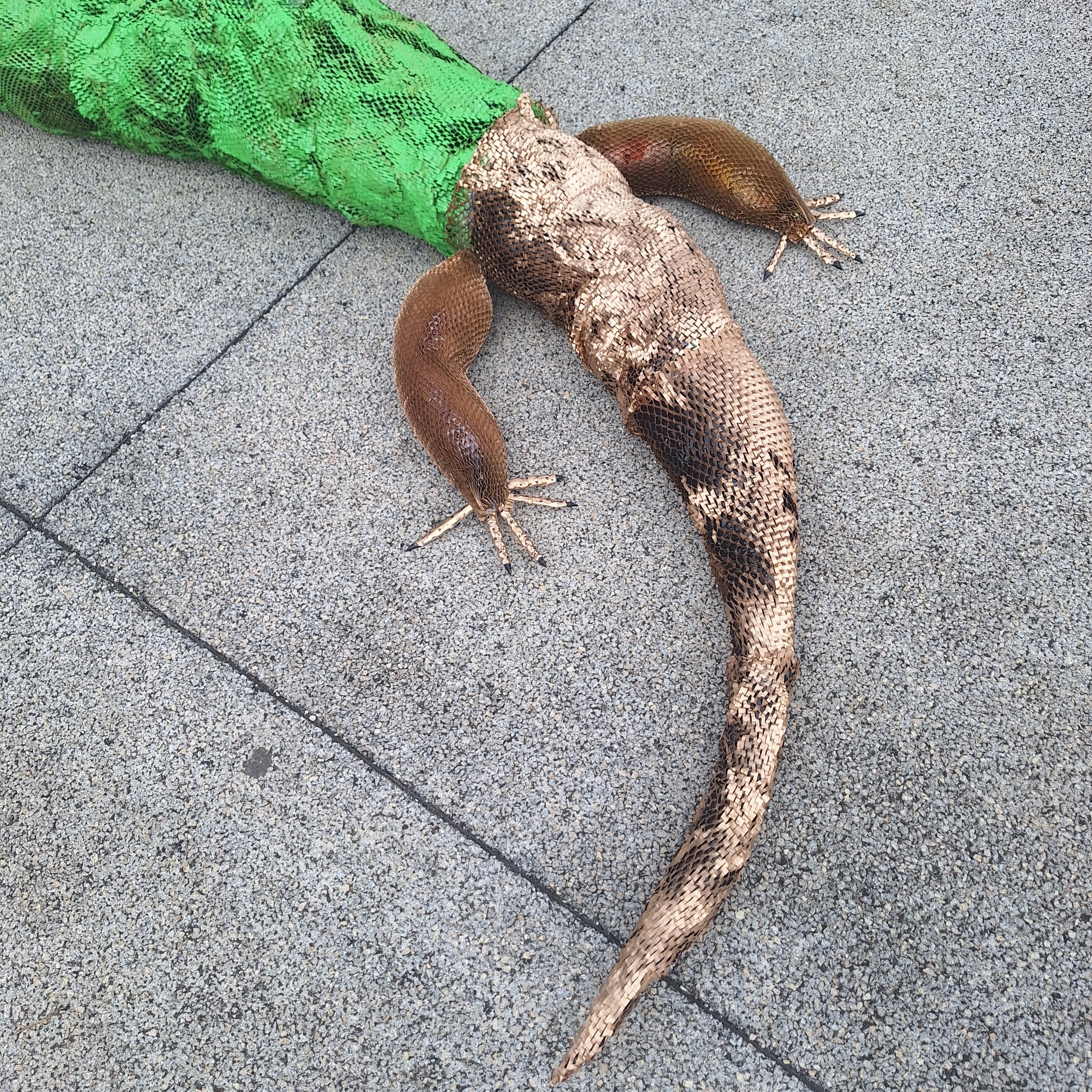 Cauda do lagarto - tubo de aspirador flexível e enchimento.