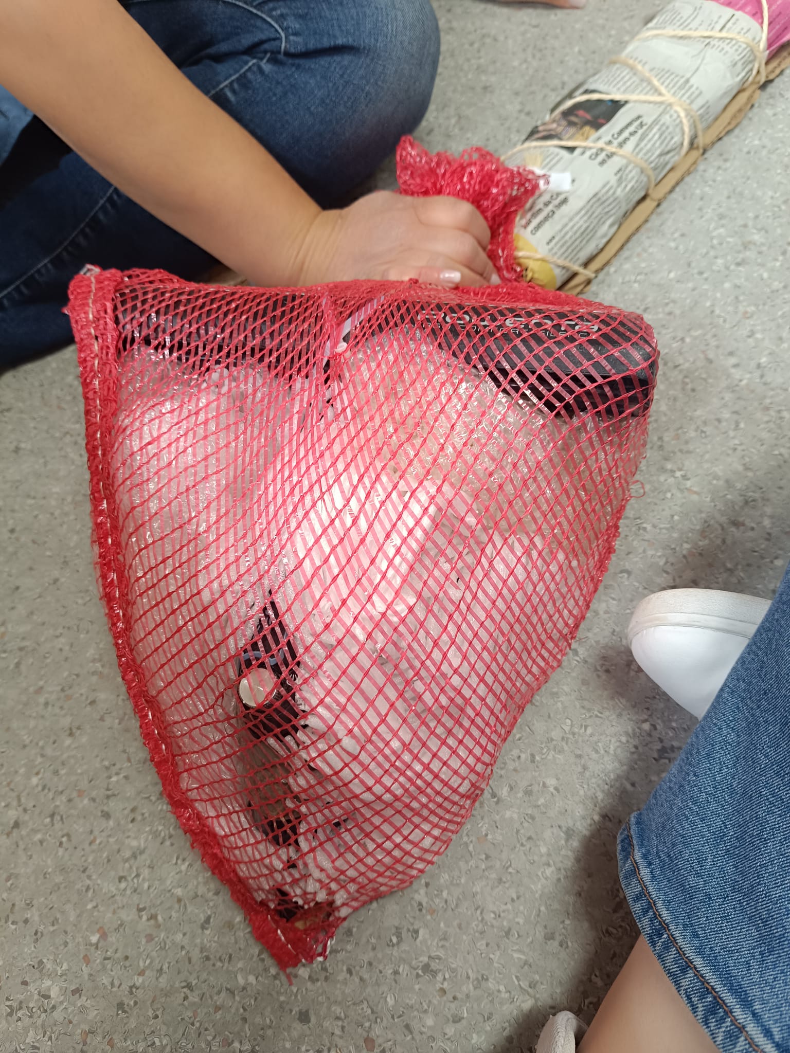 Processo de enchimento dos sacos de rede com papel de jornal e de revista para construção e engrossar o corpo do lagarto.
